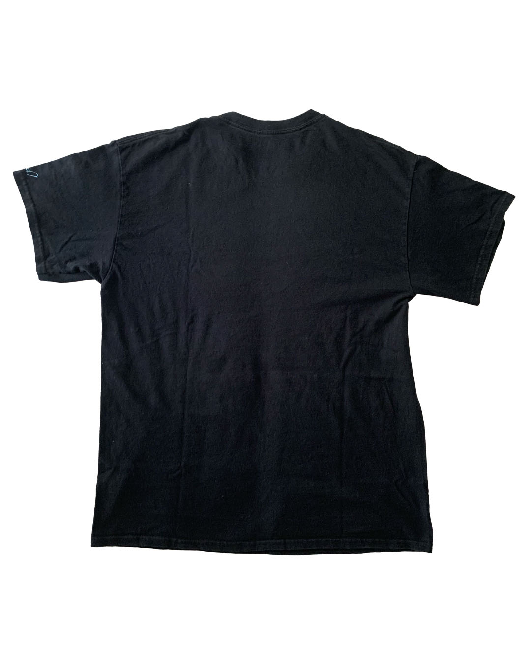 Gilden Thrifted T-Shirt - Black | L